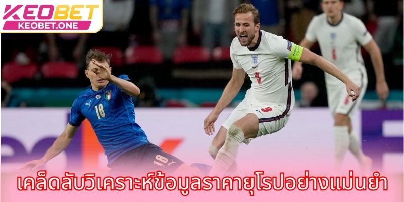 เคล็ดลับวิเคราะห์ข้อมูลราคายุโรปอย่างแม่นยำ
